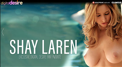 Porn Palace Multi Nche Porn Links